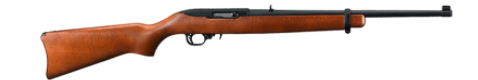 Ruger 1022