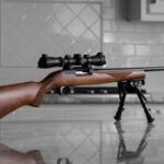 ruger 1022