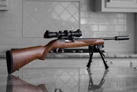 ruger 1022