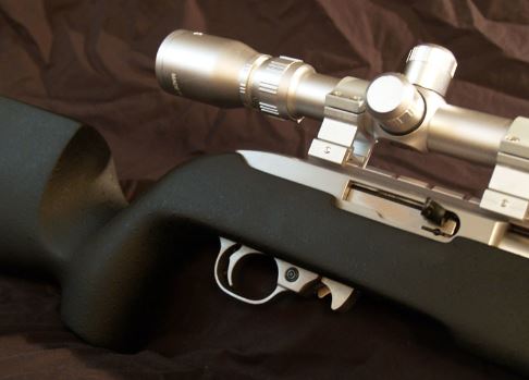 Ruger 1022